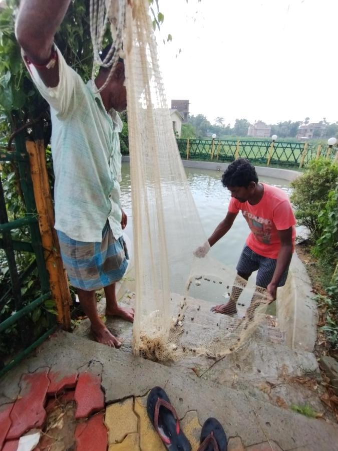 Mayabon Resort Bolpur Shānti Niketan Exteriör bild